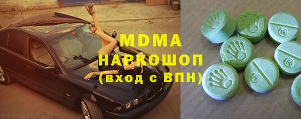 молекула духа Богданович
