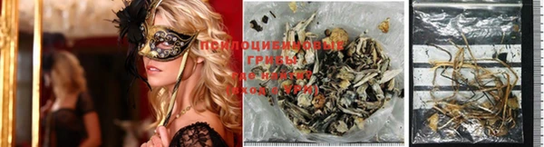 молекула духа Богданович