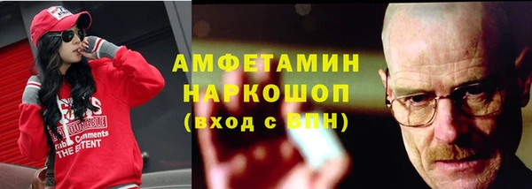 молекула духа Богданович