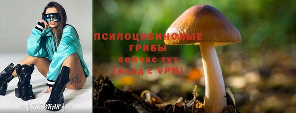 героин Верея