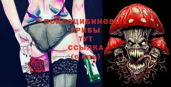 молекула духа Богданович