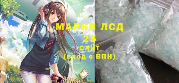 молекула духа Богданович