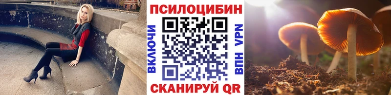 Псилоцибиновые грибы Psilocybine cubensis  Зерноград 